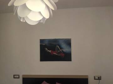 Фото номера Двухместный номер с 1 кроватью и балконом Гостевой дом Livada cu Meri г. Căpăţîneni-Ungureni 7