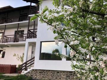 Фото номера Трехместный номер Гостевой дом Livada cu Meri г. Căpăţîneni-Ungureni 24